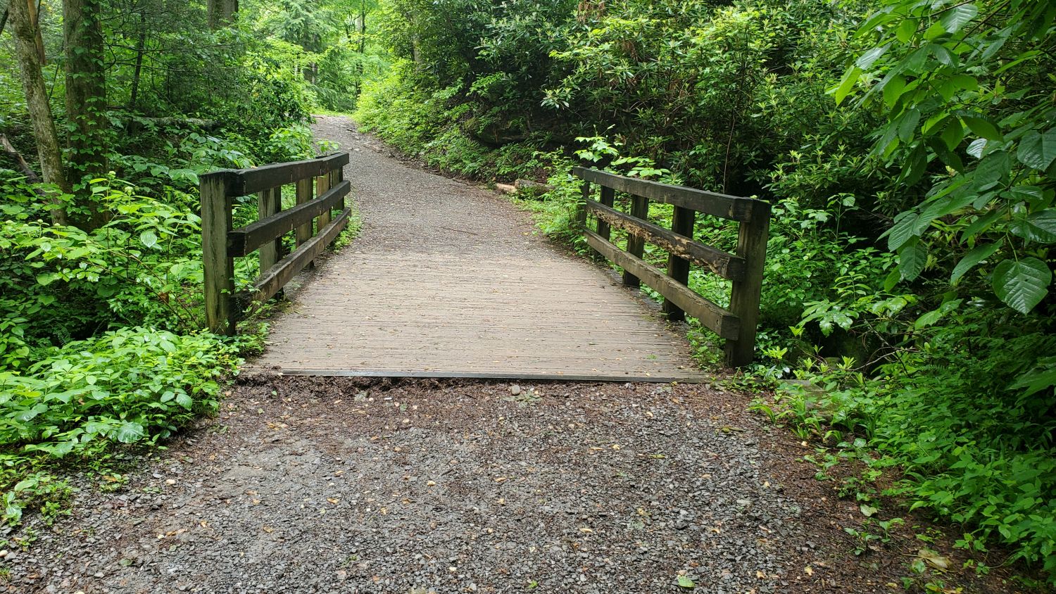 Porters Creek to Fern Falls 